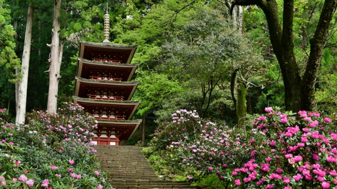 【ファミリーで四寺巡礼】ご利益巡り！奈良大和四寺巡礼 共通拝観券付＜夕朝食付・オールインクルーシブ＞